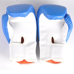 Training Boxing Gloves